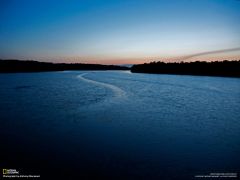 Tapeta National Geographic 509.jpg